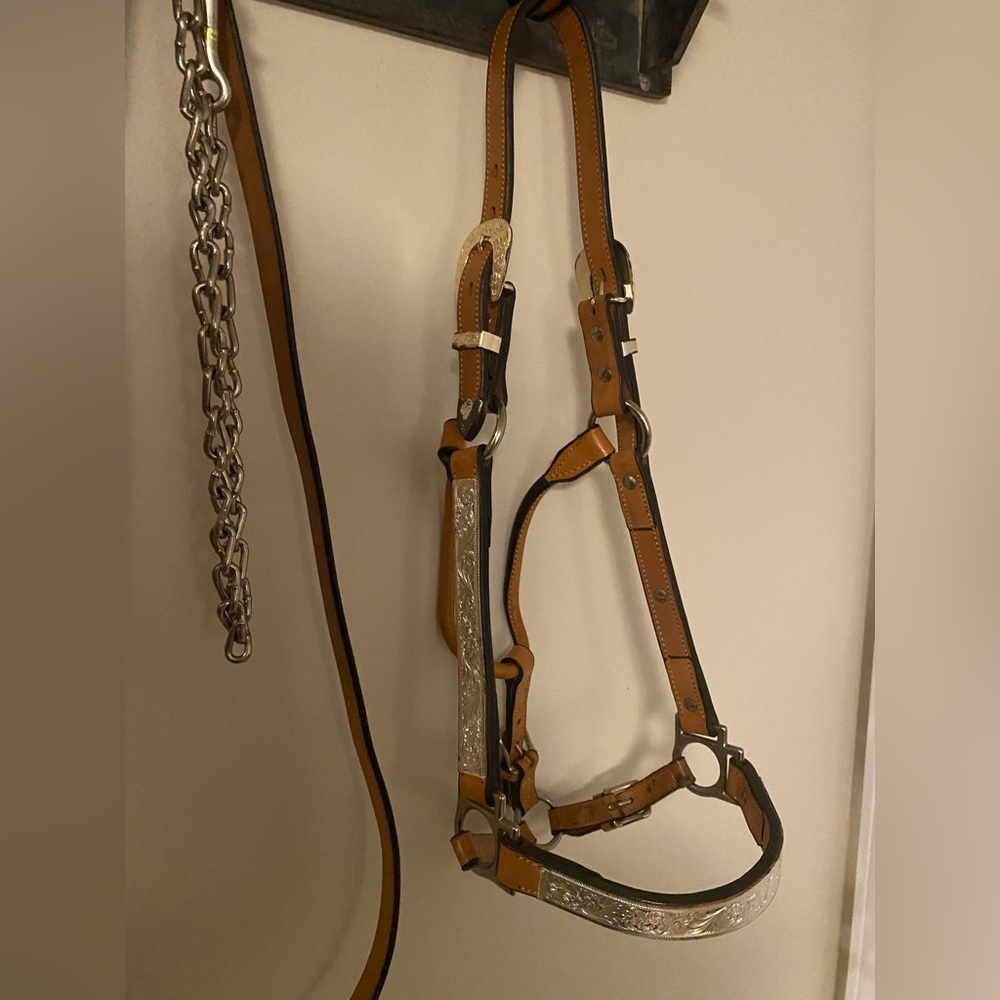 Show Halter - Picture 3 of 6